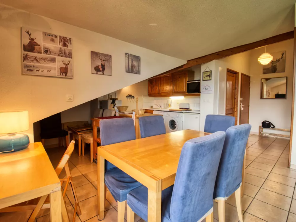 Location de Vacances Morillon 1100 44