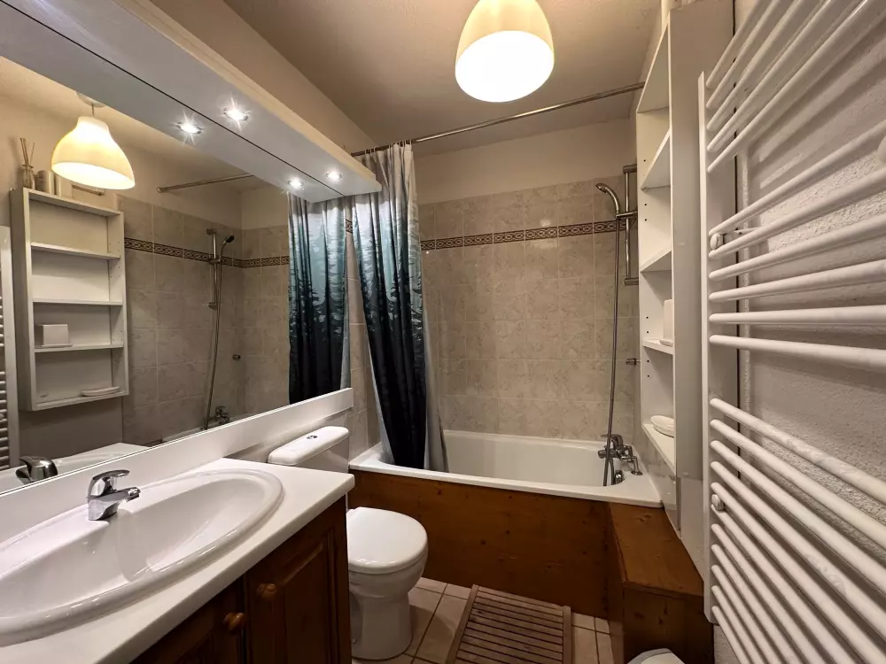 Location de Vacances Morillon 1100 44