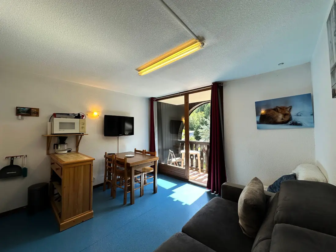 Location de Vacances Morillon 1100 45