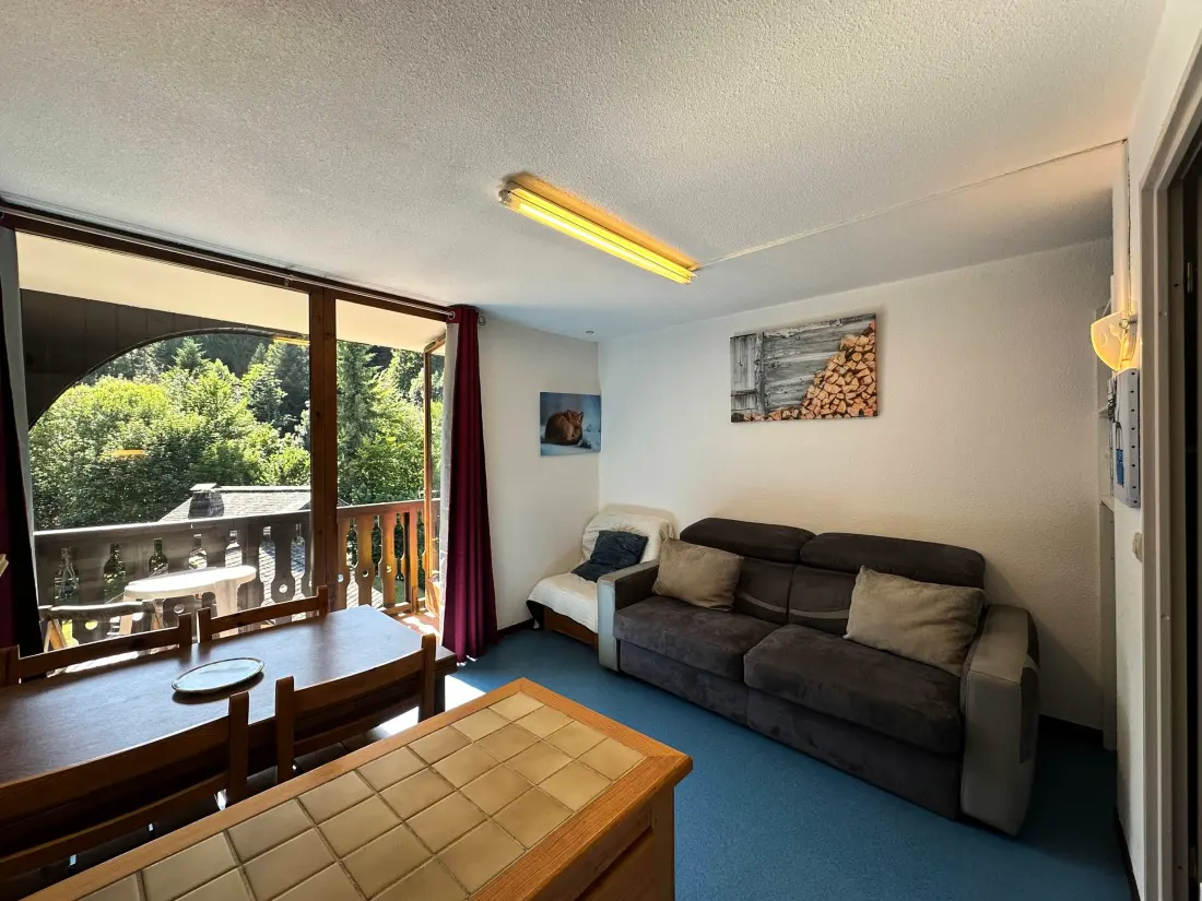Location de Vacances Morillon 1100 45