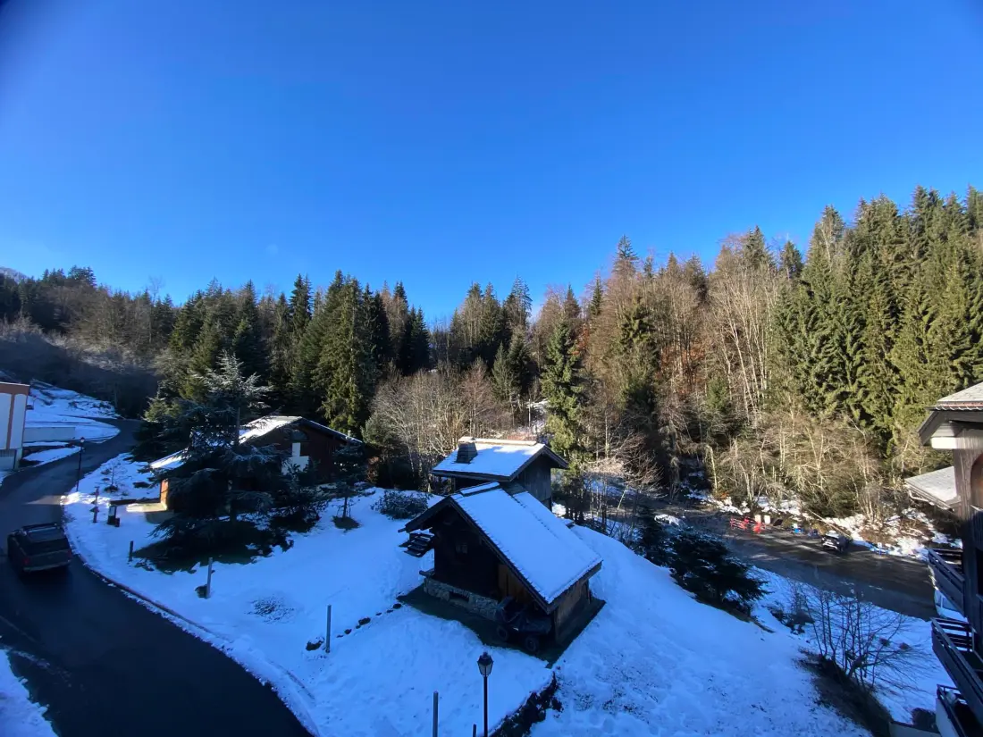 Location de Vacances Morillon 1100 45