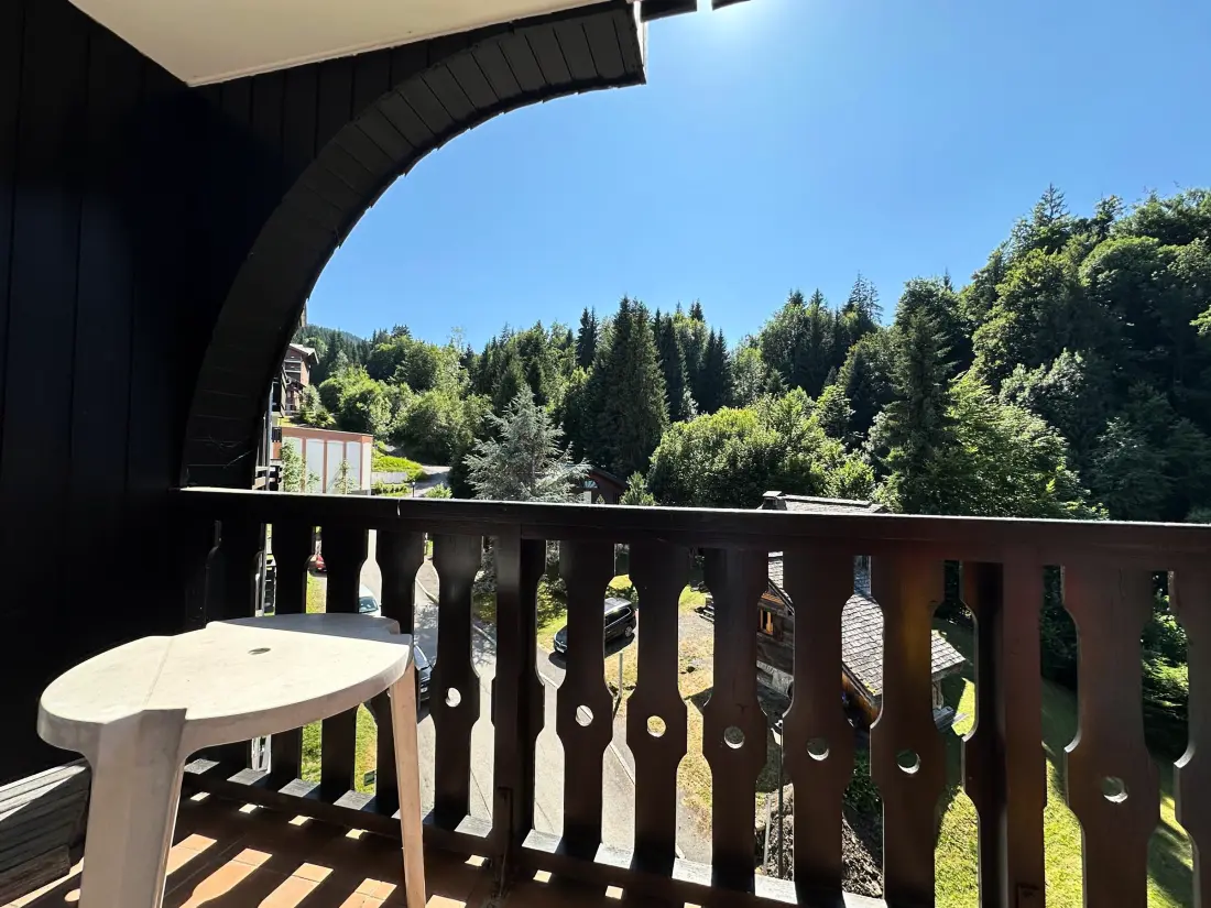 Location de Vacances Morillon 1100 45