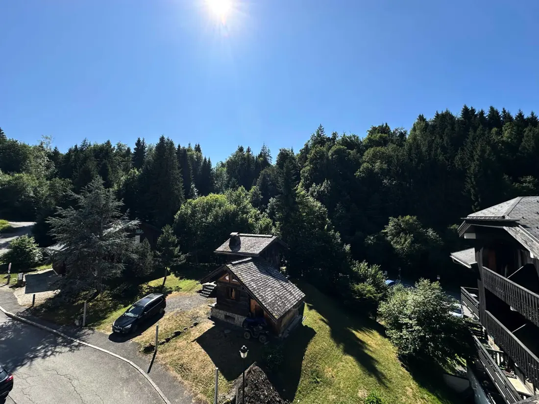Location de Vacances Morillon 1100 45