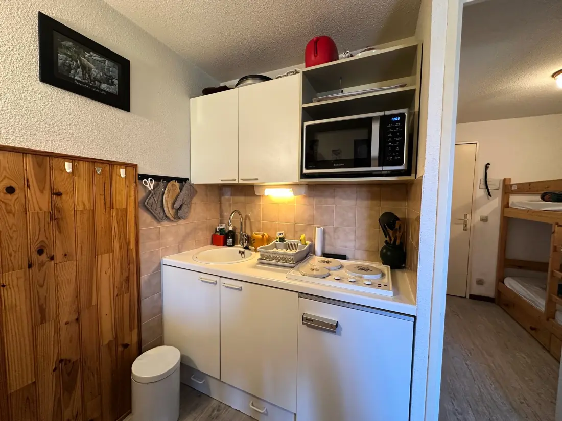 Location de Vacances Morillon 1100 50