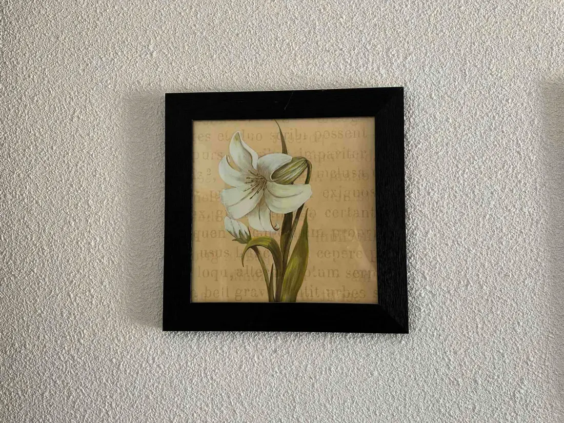 Location de Vacances Morillon 1100 50