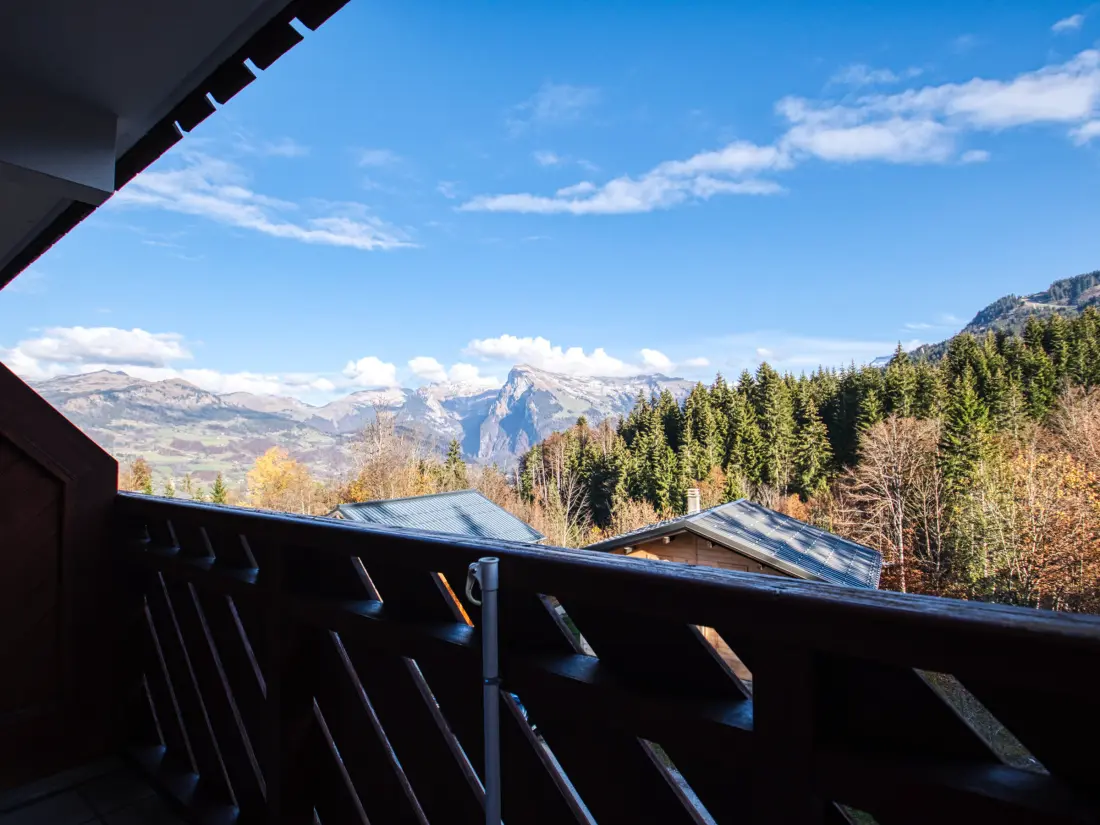 Location de Vacances Morillon 1100 51