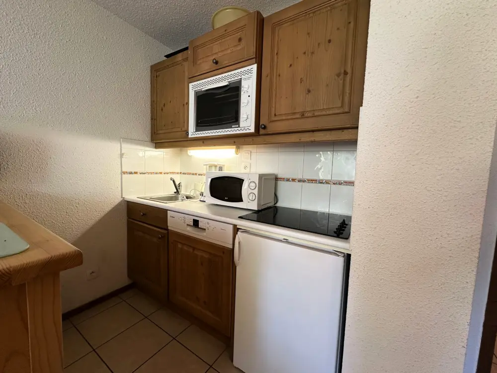 Location de Vacances Morillon 1100 6