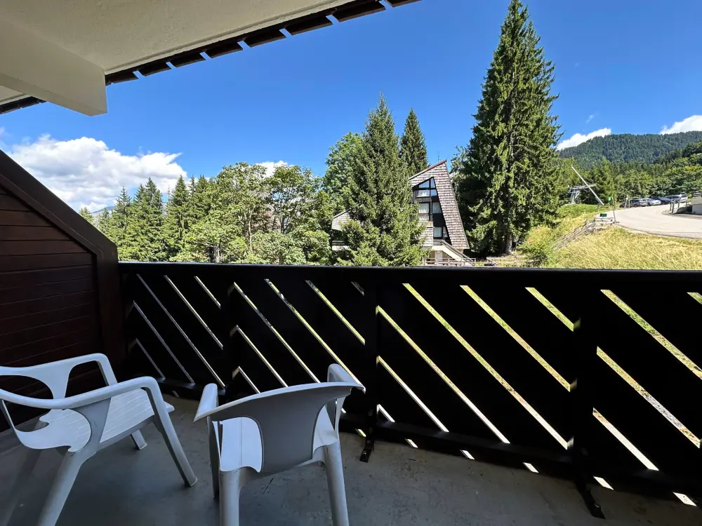 Location de Vacances Morillon 1100 6