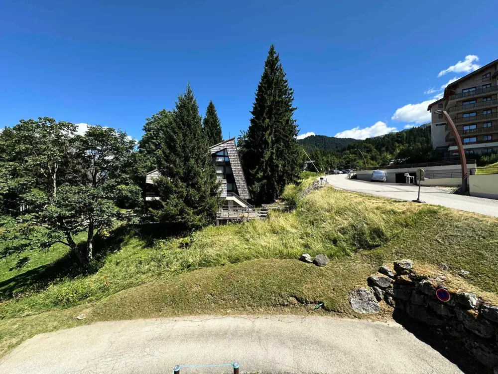 Location de Vacances Morillon 1100 6