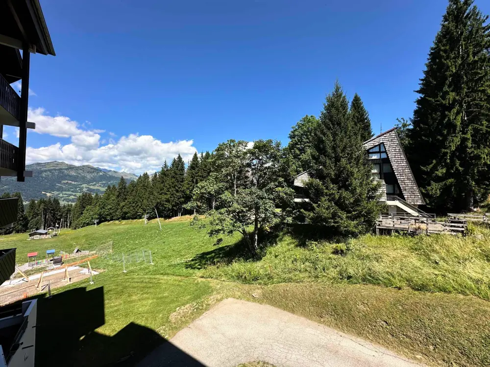 Location de Vacances Morillon 1100 6