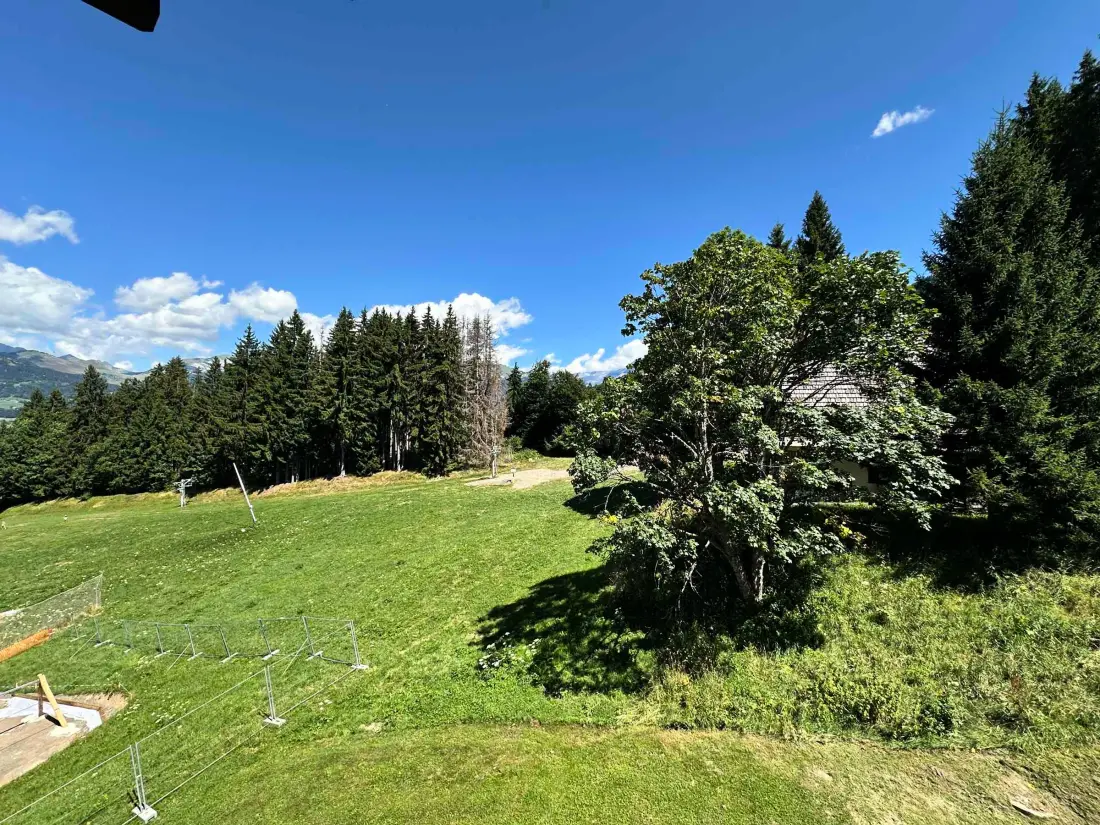 Location de Vacances Morillon 1100 7