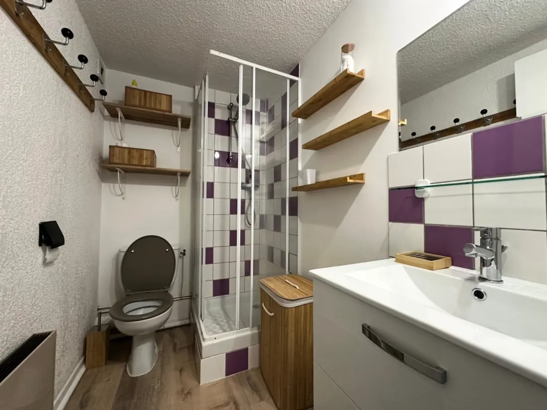 Location de Vacances Morillon Village 12