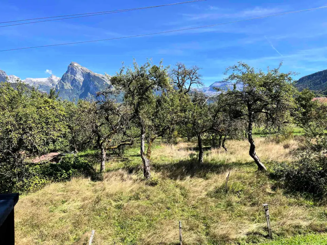 Location de Vacances Morillon Village 27