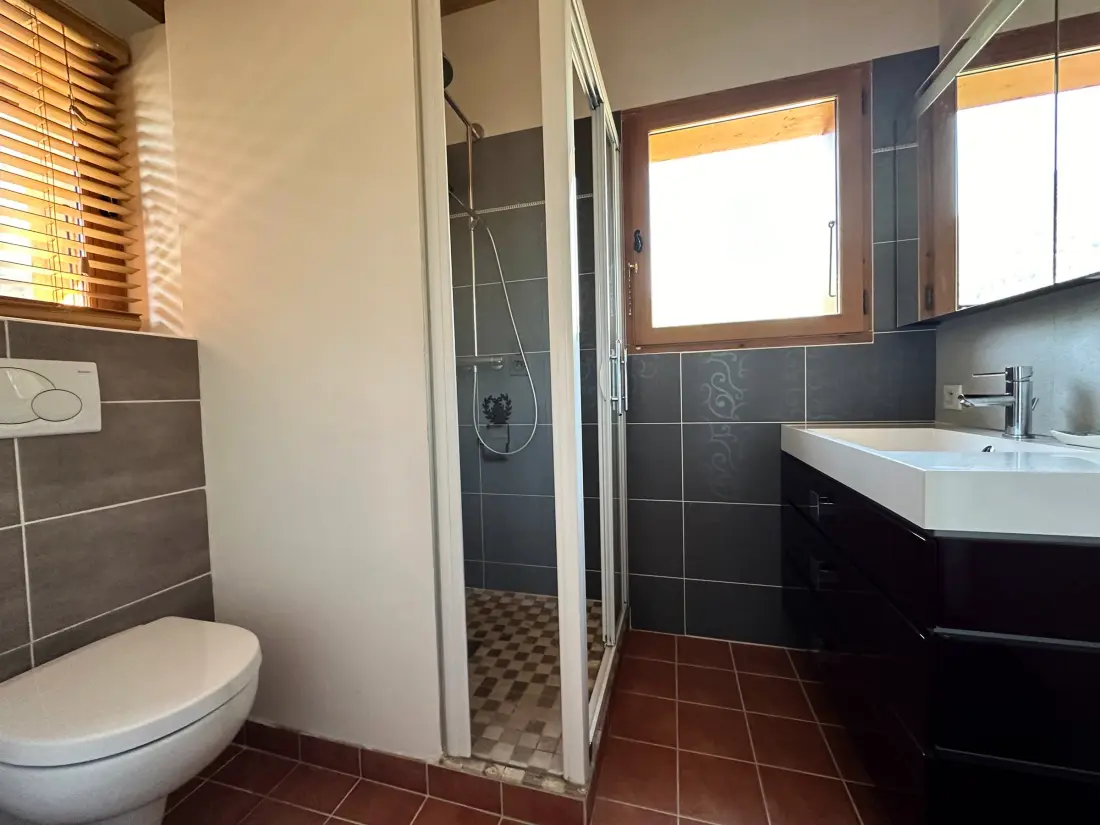Location de Vacances Morillon Village 35