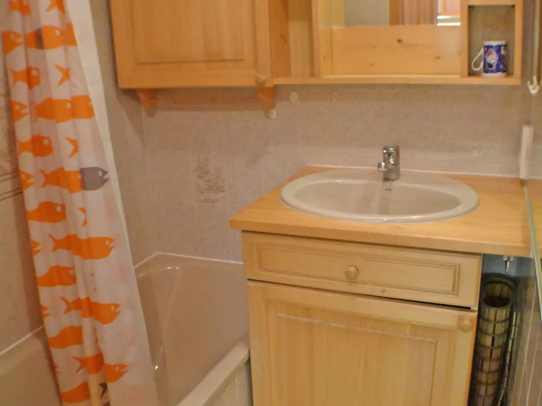 Location de Vacances Morillon Village 5
