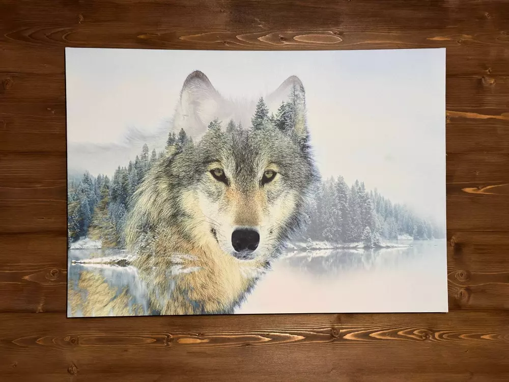 Maison de Vacances Morillon Village 31