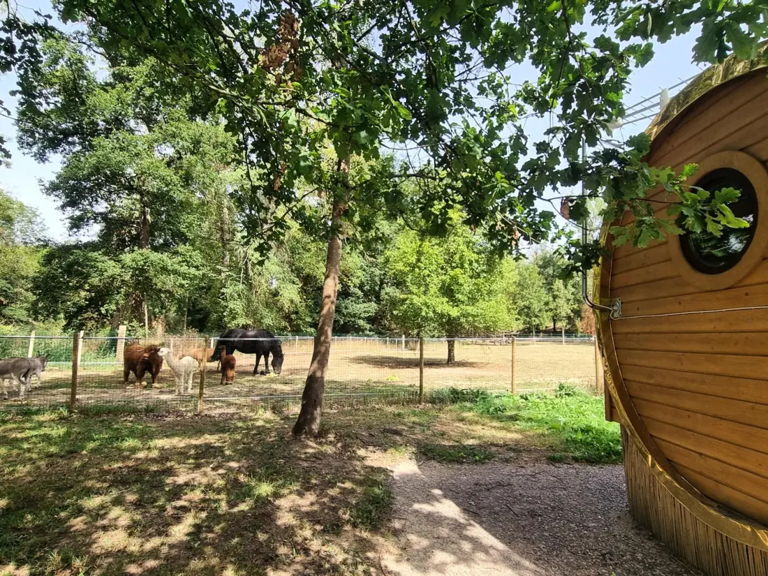Maison de Vacances MORNAND-EN-FOREZ 3