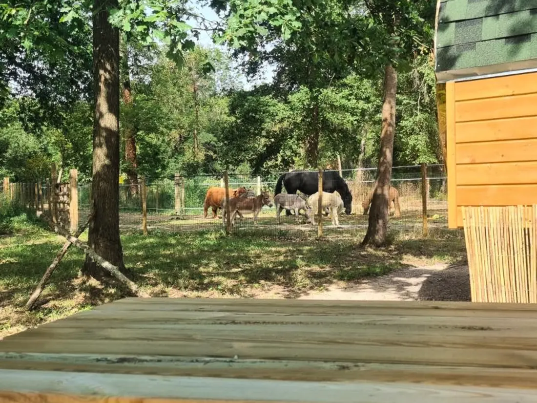 Maison de Vacances MORNAND-EN-FOREZ 3