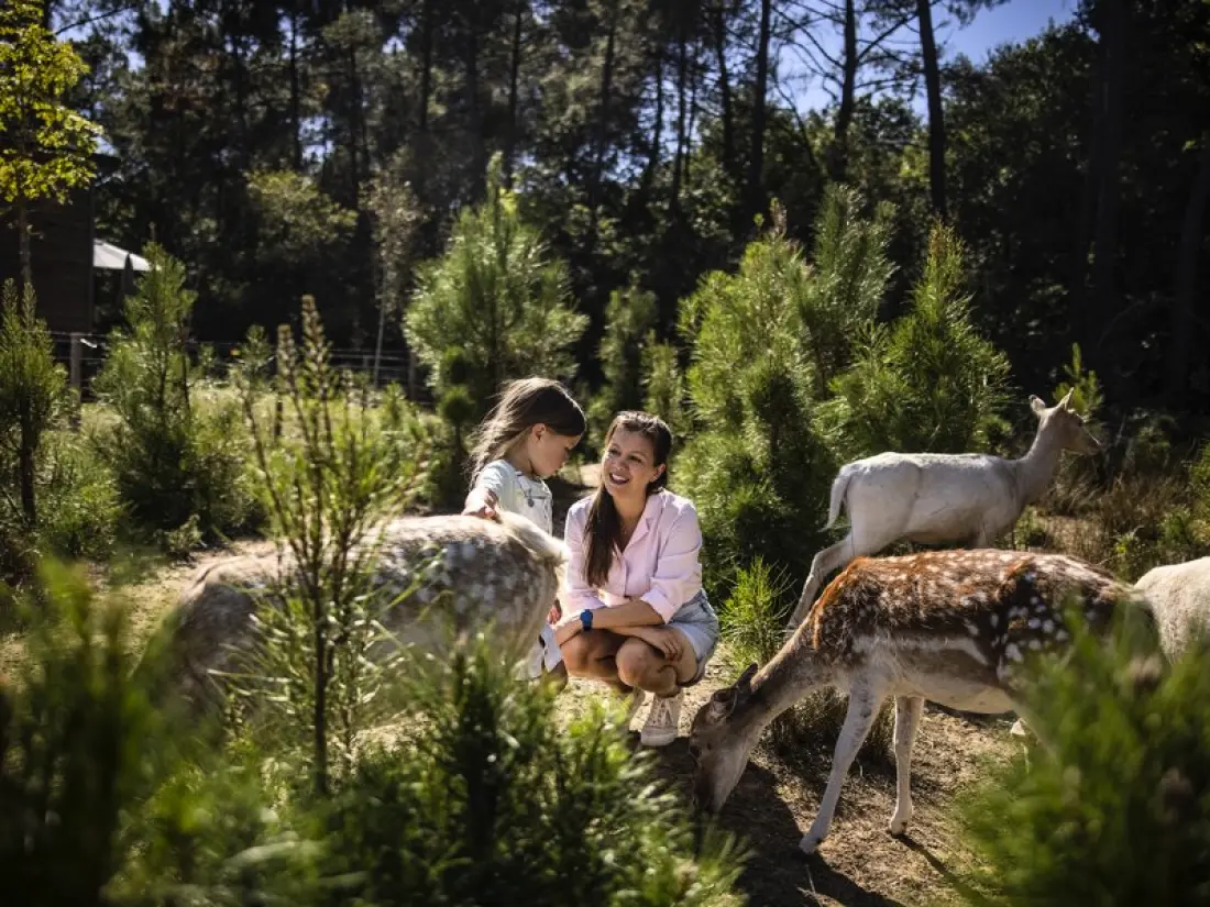 Center Parcs - Domaine Le Bois aux Daims