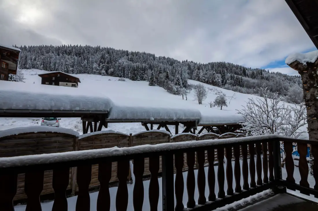 Chalet Fauvette