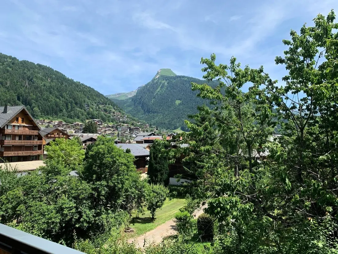 Chalet Roji