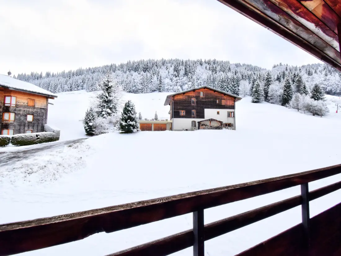Location de Vacances Morzine 102