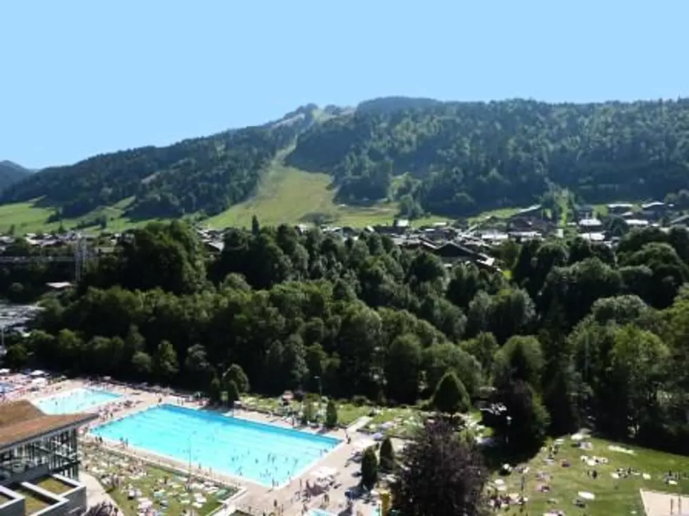 Location de Vacances Morzine 113
