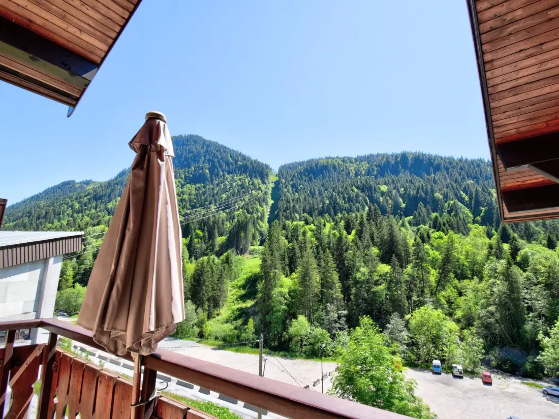 Location de Vacances Morzine 116