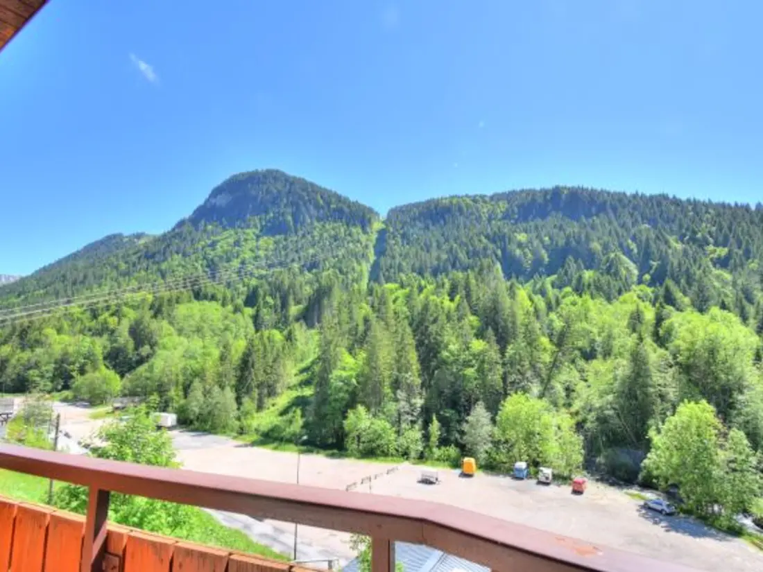 Location de Vacances Morzine 116