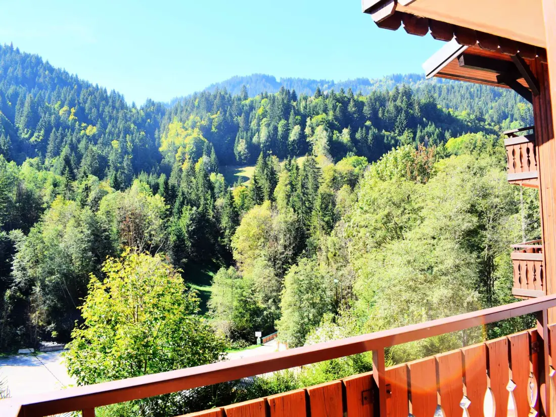 Location de Vacances Morzine 137