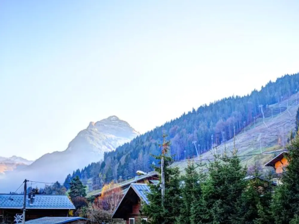 Location de Vacances Morzine 145
