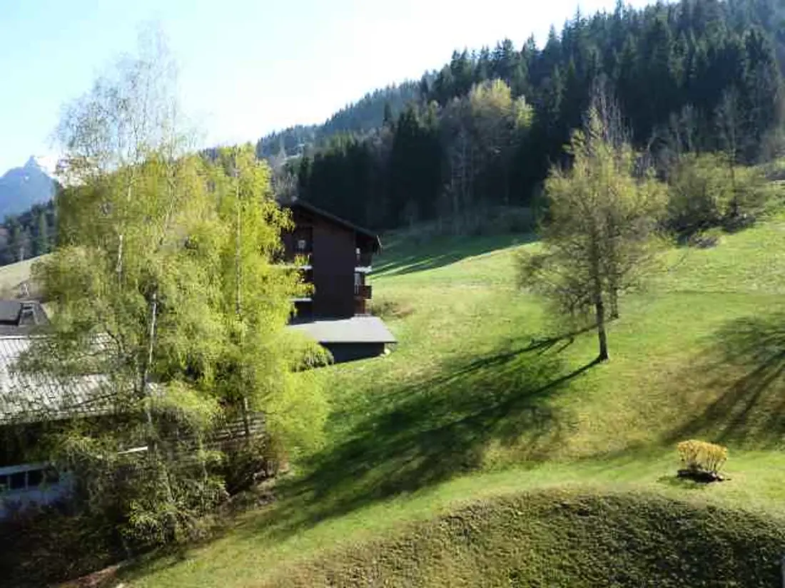 Location de Vacances Morzine 152