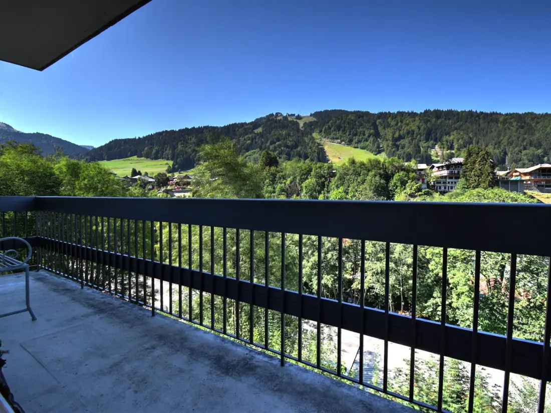 Location de Vacances Morzine 162