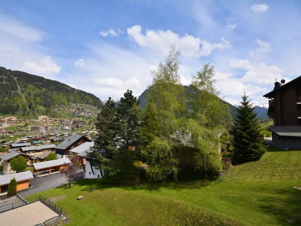 Location de Vacances Morzine 205