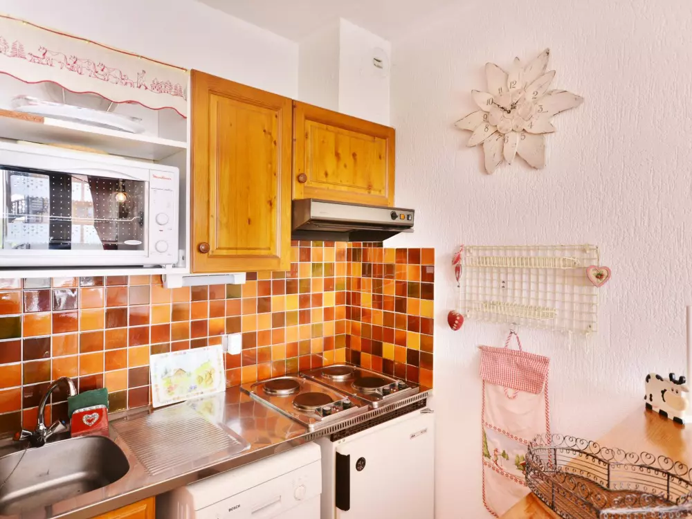 Location de Vacances Morzine 215