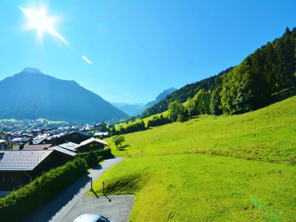 Location de Vacances Morzine 225