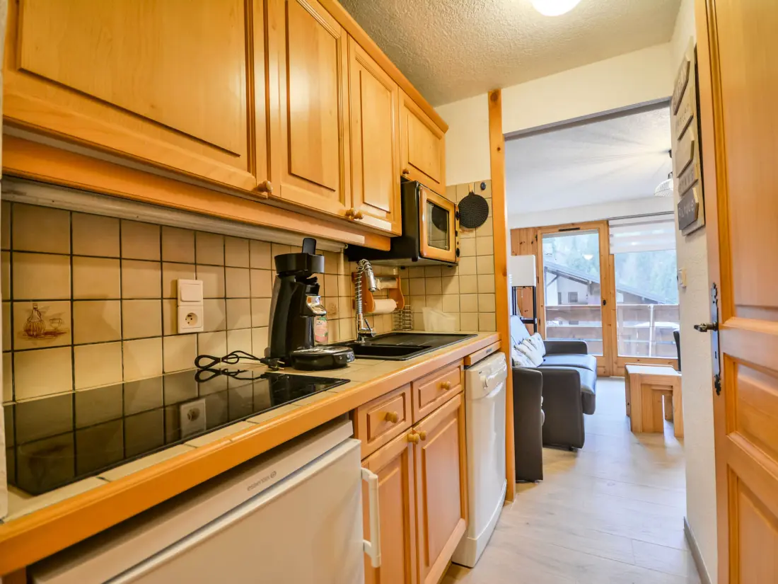 Location de Vacances Morzine 232