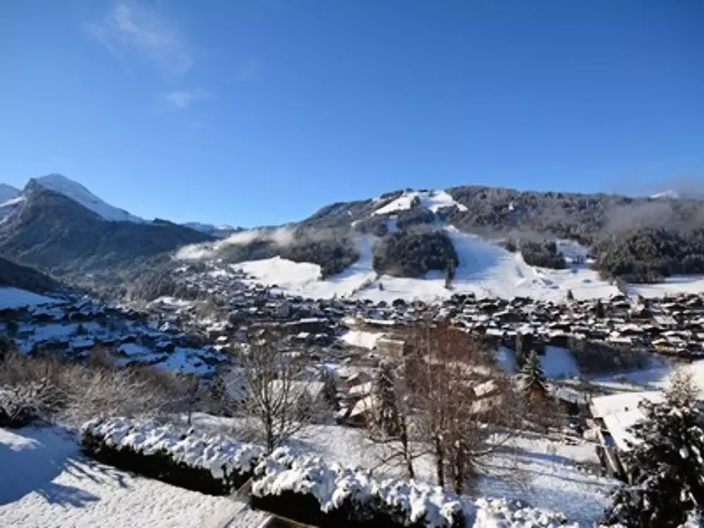 Location de Vacances Morzine 233