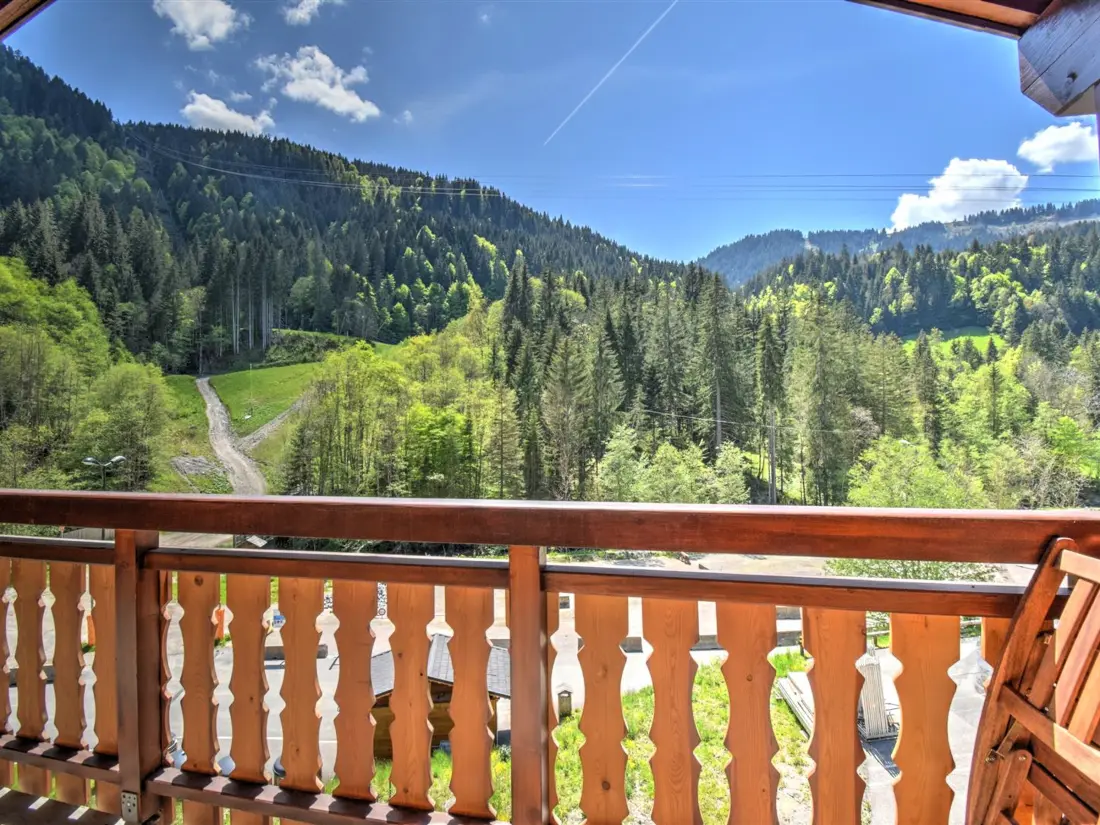 Location de Vacances Morzine 248