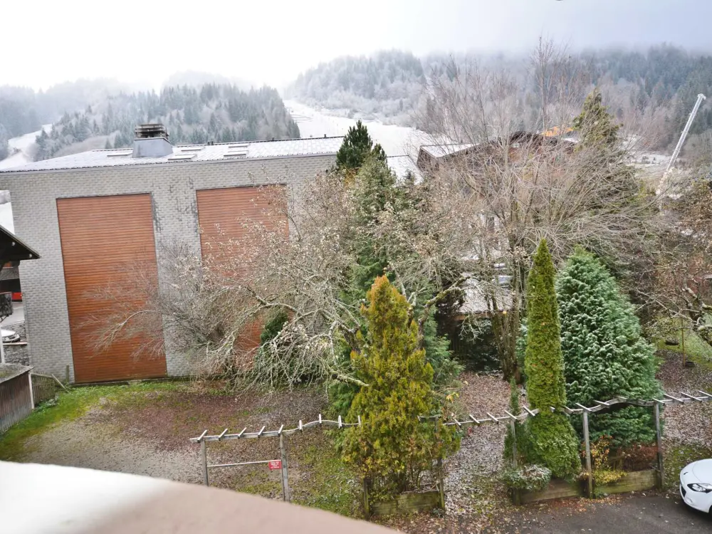 Location de Vacances Morzine 261