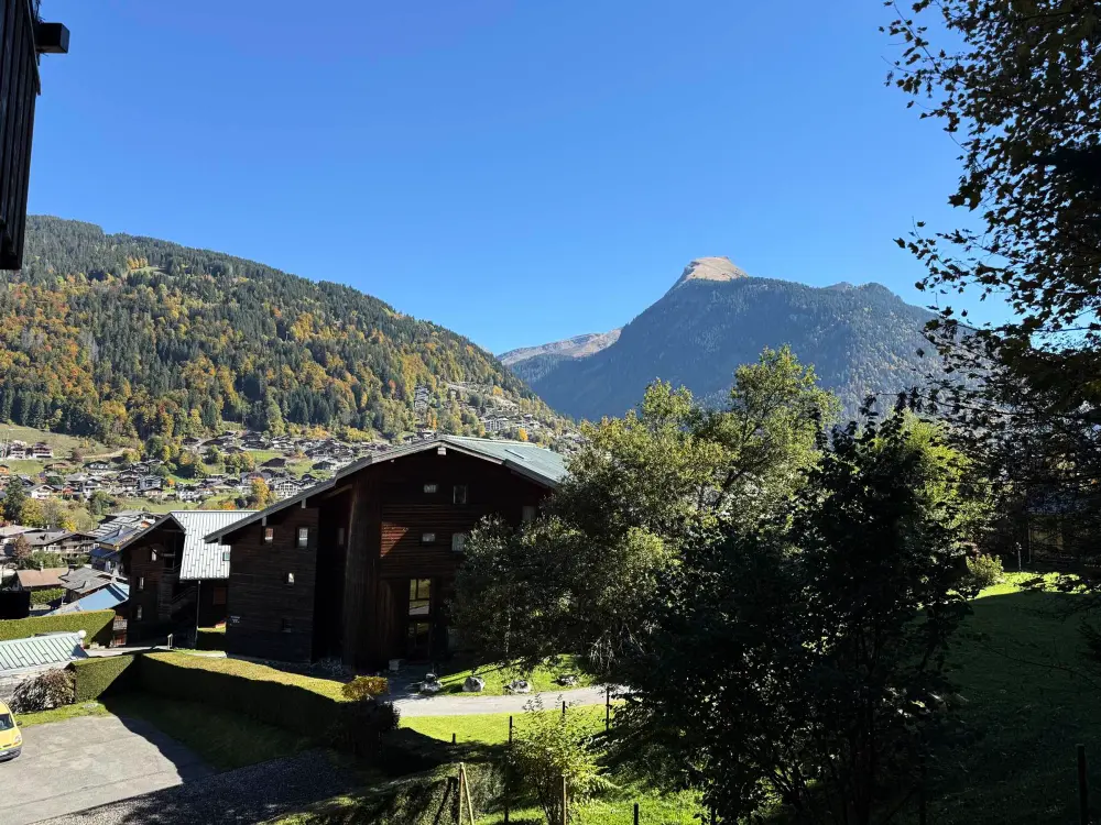 Location de Vacances Morzine 262