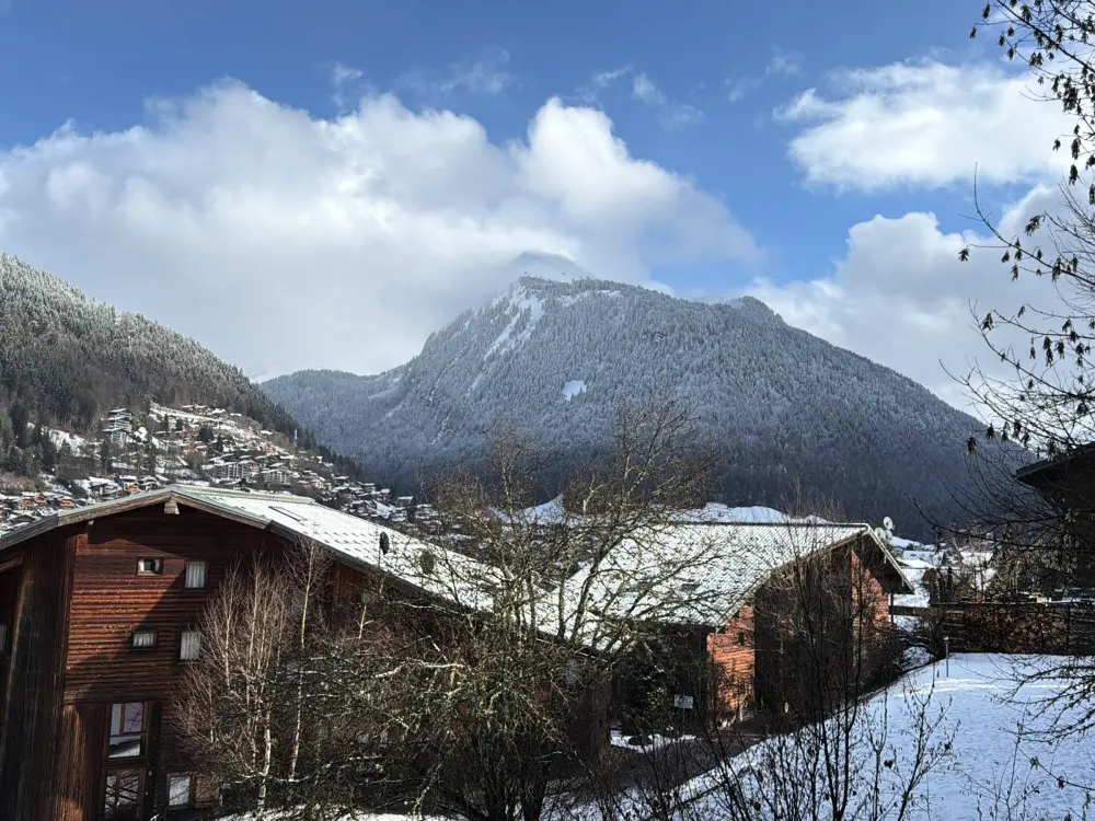 Location de Vacances Morzine 262
