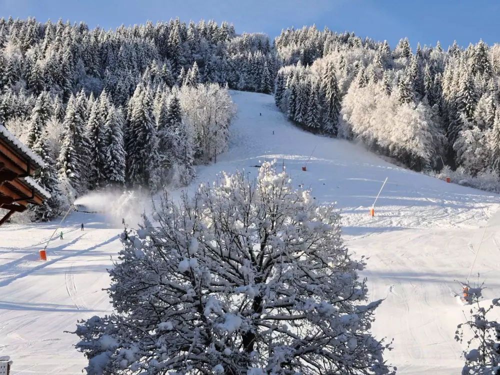 Location de Vacances Morzine 266
