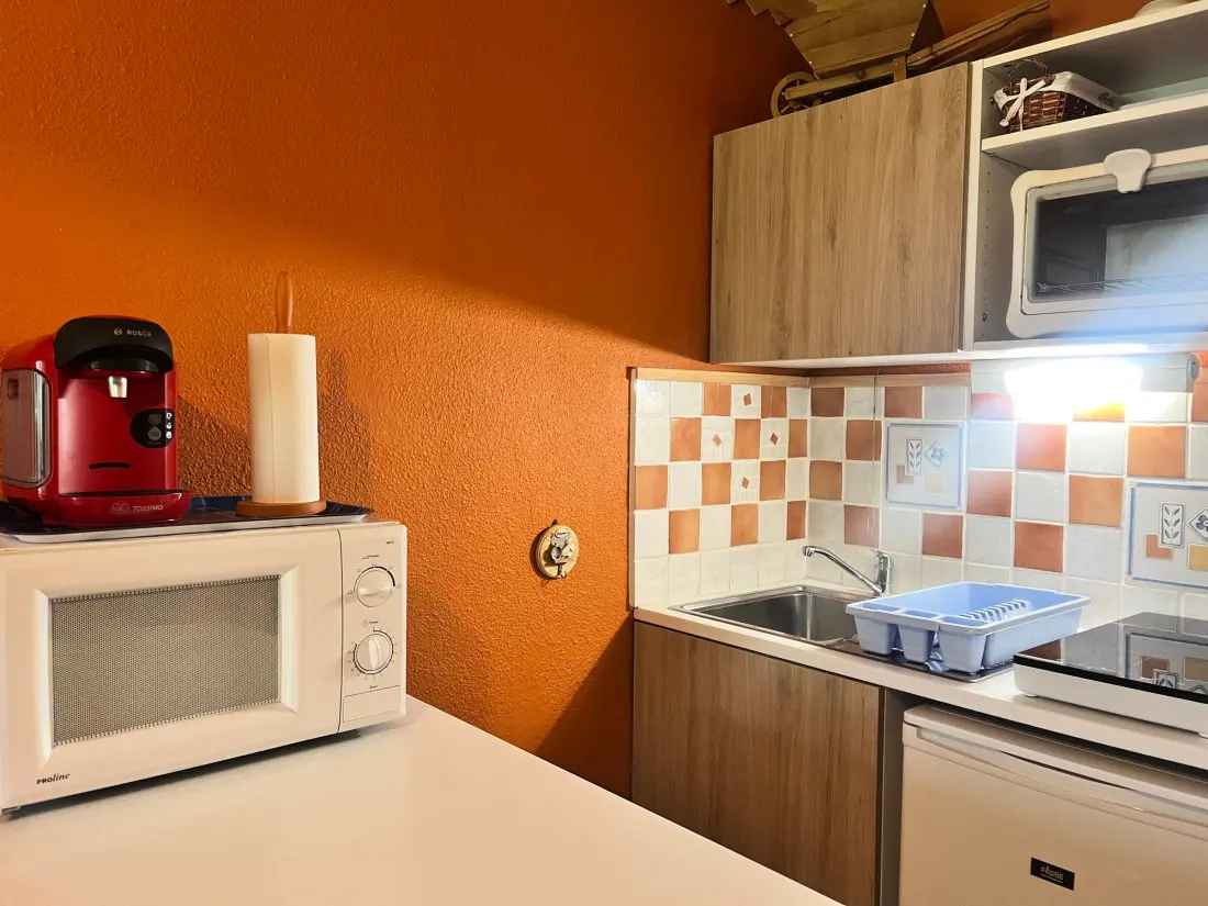Location de Vacances Morzine 272