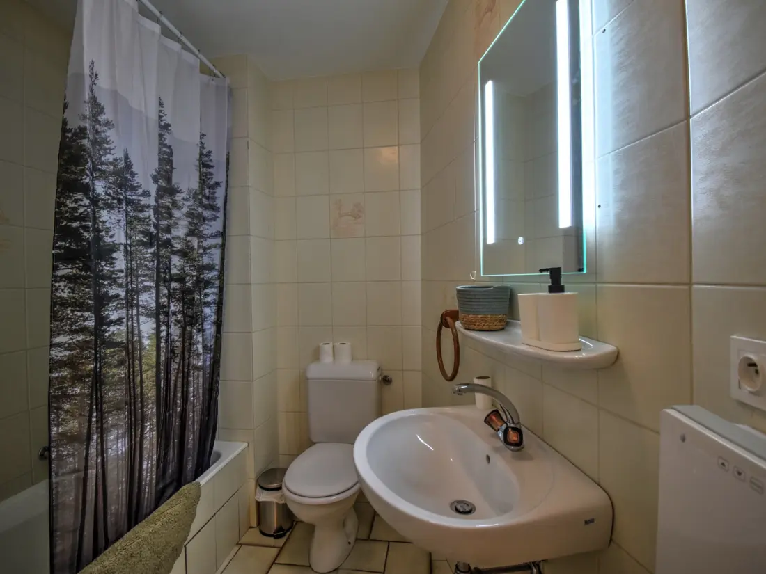 Location de Vacances Morzine 284