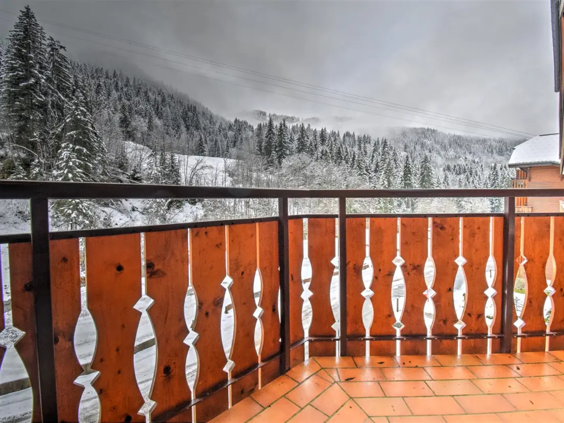 Location de Vacances Morzine 301