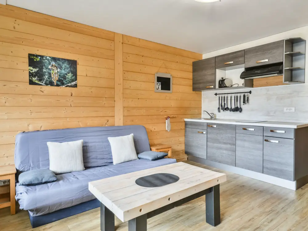 Location de Vacances Morzine 303