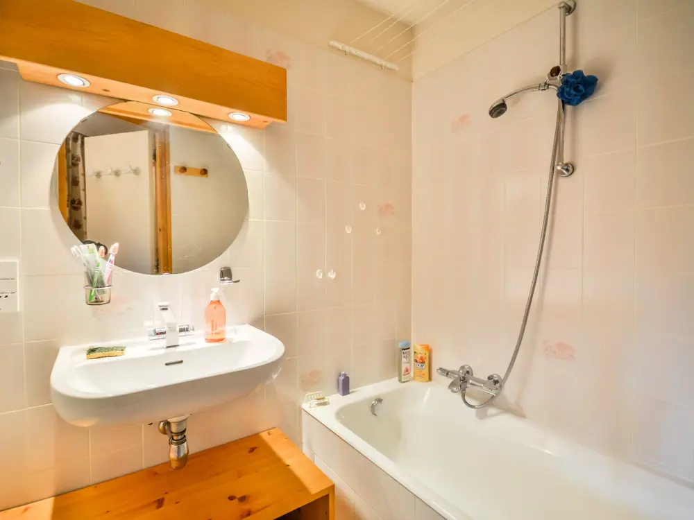 Location de Vacances Morzine 315