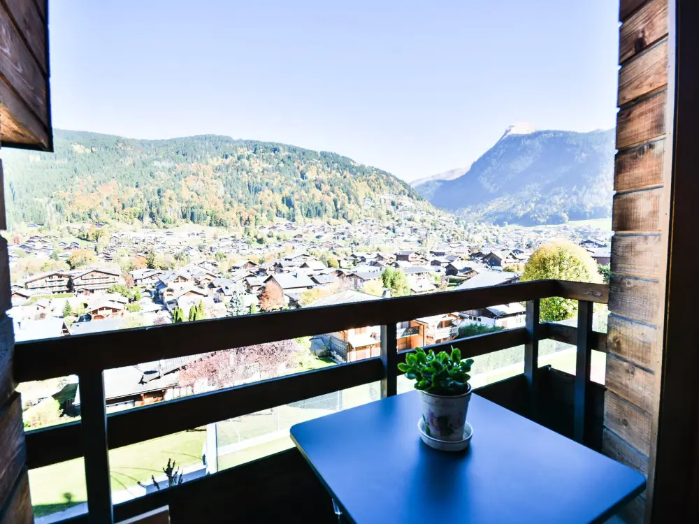 Location de Vacances Morzine 326