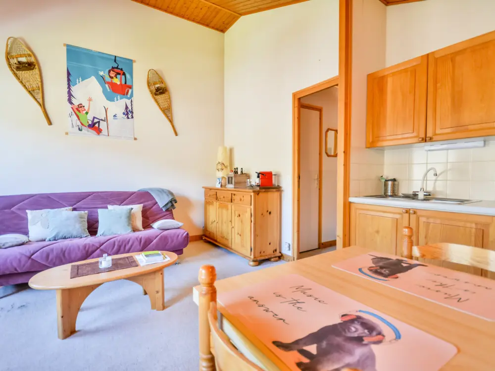 Location de Vacances Morzine 326
